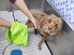 -宠颐生宠物医院·心肾内科·猫专科诊疗中心宠巢店