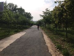 -红山体育乐园