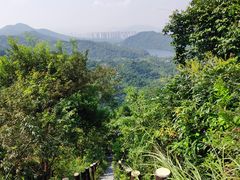-田心森林公园