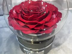 -ROSEONLY诺誓(广州K11店)