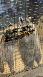 -酷嗒动物文化乐园(cutezoo西溪乐天城店)