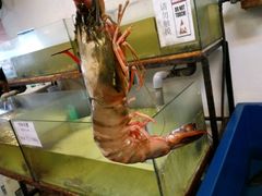 -ZF Seafood Restaurant 卓峰海鲜餐