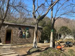 -南京老山国家森林公园
