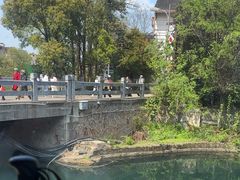 -紫藤园·天目湖大鱼头(南山竹海店)