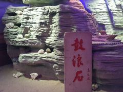 android_upload_pic-贝壳梦幻世界
