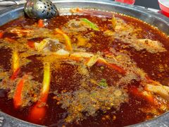-蜀滋香鲜鱼美蛙火锅(339店)