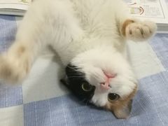 -美迦爱-牙专科·兔科·骨科诊疗中心(北苑店)
