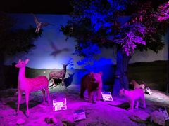 -昆嵛山石门里景区