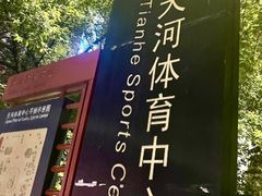 -天河体育中心游泳馆