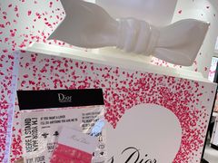 -DIOR迪奥(德基广场女装店)