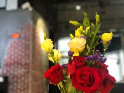 -Kraemer Paris  苏豪路易士·嘉玛发廊