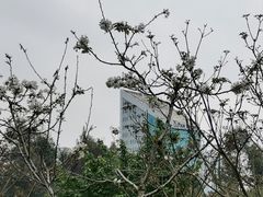 -狐尾山公园