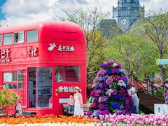 -荷兰花海