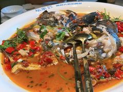 -坛宗剁椒鱼头(河西王府井店)