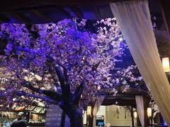 -绿茶餐厅(朝阳大悦城店)