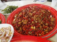 -东吴霸王兔(松青路店)