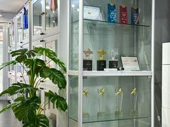 -青奢宠物·青奢猫舍