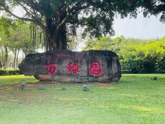 -万绿园
