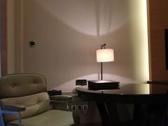 -河源万绿湖美思威尔顿酒店