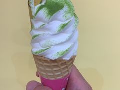 -王守财小山園