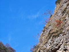 -太湖源风景区