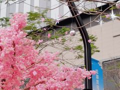 -东莞松山湖万象汇