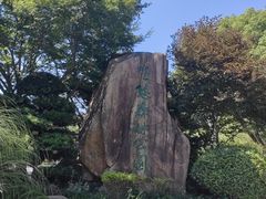 -昆山城市生态森林公园