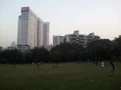 -东风公园