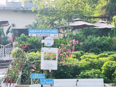 -火炉山森林公园
