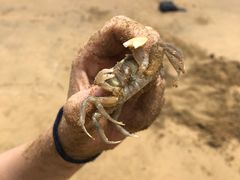 -普陀山风景名胜区-千步大沙