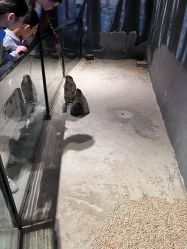 -酷嗒动物文化乐园(cutezoo西溪乐天城店)