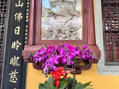 -阿育王寺