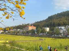 -红山村