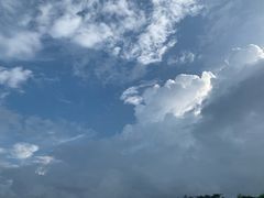-呀诺达热带雨林
