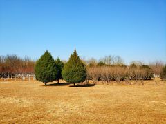 -永定河休闲森林公园