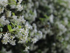 -长阳创谷