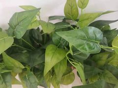 -佰推·肩颈腰·推拿理疗(湾悦城店)