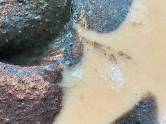 -芝麻糊世家(西华店)