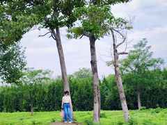 -汉长安城未央宫国家考古遗址公园