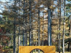 -长春市南湖公园