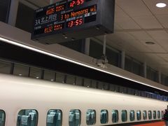 -文府路口(Taiwan High Speed Rail Zuoying Station)