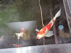 -唐河王记·南阳民间菜(国基路店)