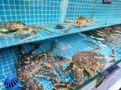 -本达人海鲜烧烤·朝鲜族风味(发展店)