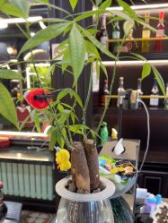 -豪帅男士理容馆