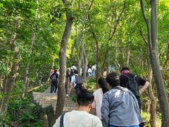 -紫金山山顶公园