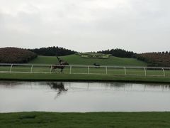 -迪茵湖田家舍生态农场