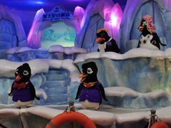 -帝企鹅自助餐厅•儿童岛•真企鹅(长隆企鹅酒店)