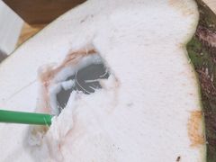 -椰夫人·养生椰子鸡(金沙洲永旺店)