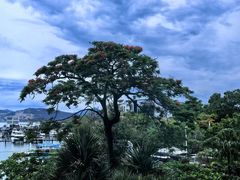-希尔顿南海酒店·观廊大堂吧·海景下午茶