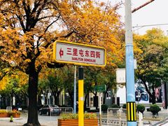 -三里屯东五街银杏大道